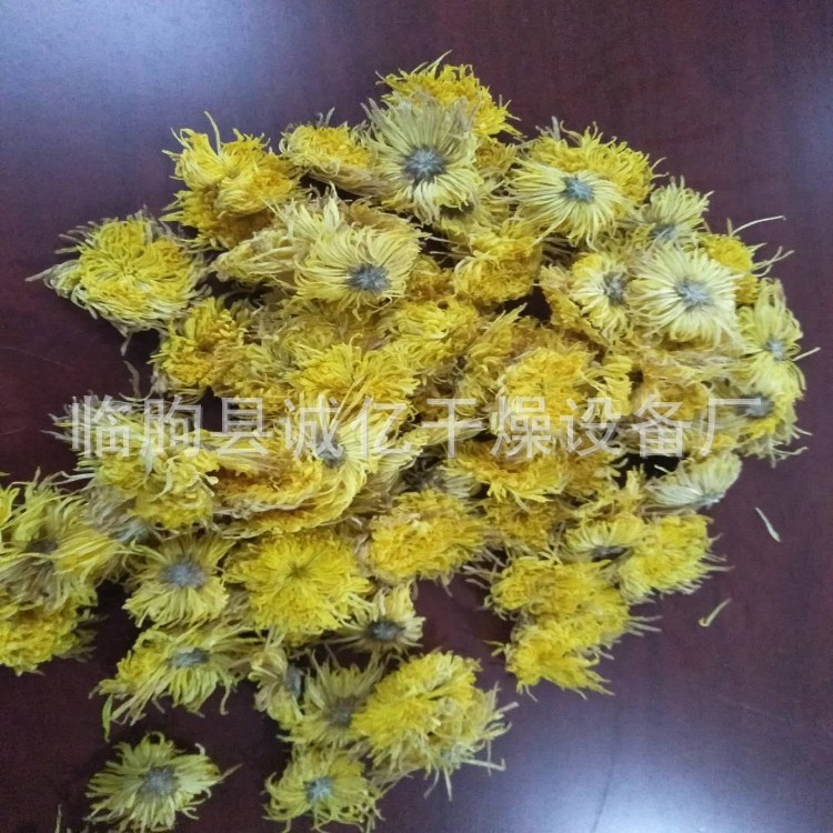 廠家直銷鮮花熱風(fēng)烘房 玫瑰花烘干箱 菊花熱風(fēng)循環(huán)烘房 鮮花脫水