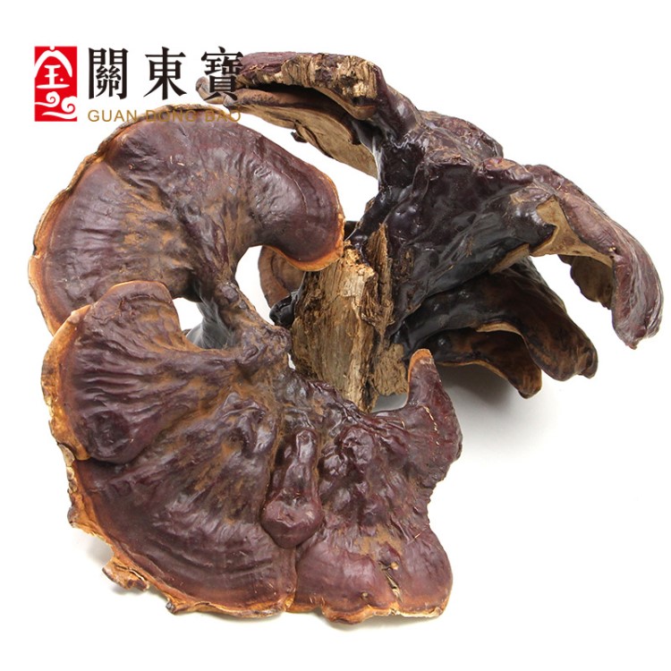 野生靈芝 長(zhǎng)白山赤芝 白心白肉靈芝松杉靈芝 口感微苦藥效好