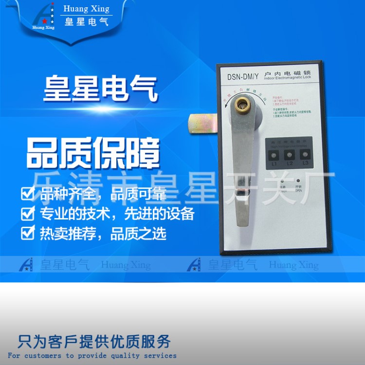 電磁鎖DSN-DM帶顯示器型戶內電磁鎖 電磁門鎖