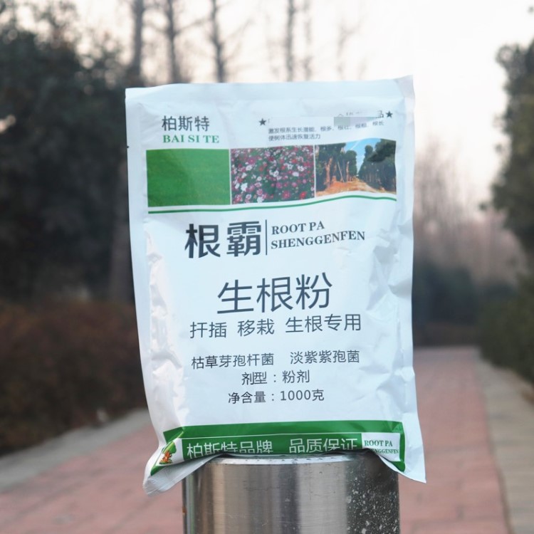 生根粉 大樹(shù)生根劑植物生根液扦插移栽植物通用根毛多好成活