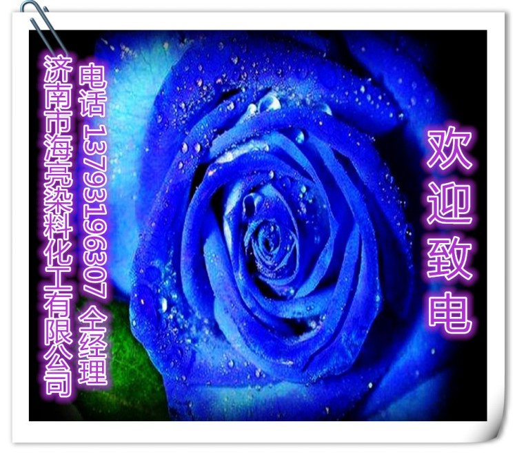 批發(fā)供應(yīng) 永生花染料 干花色素 鮮花色粉 鮮花染色劑 顏色