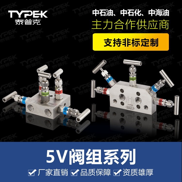 TYPEK/泰普克 不銹鋼316 5閥組