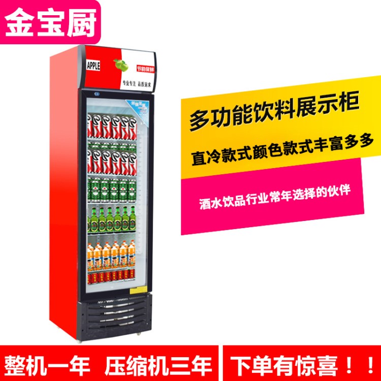 啤酒柜飲料展示柜超市保鮮柜單雙門冷藏水果保鮮柜便利店商用冷柜