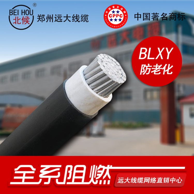 河南电线电缆厂家 国标防老化线BLXY 1*70平方铝线防雨防晒绝缘