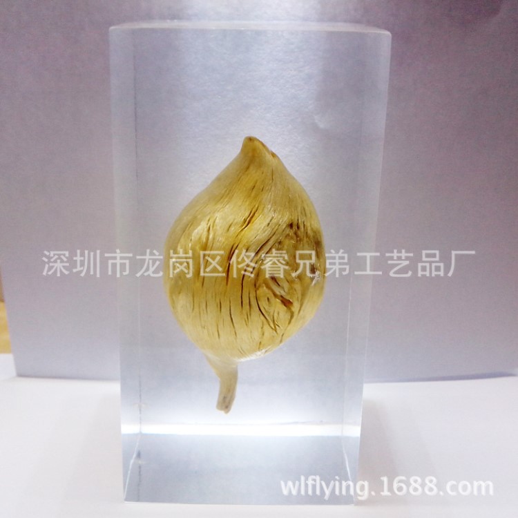 水晶膠工藝品、人工琥珀內(nèi)嵌（埋）樹(shù)根標(biāo)本定制