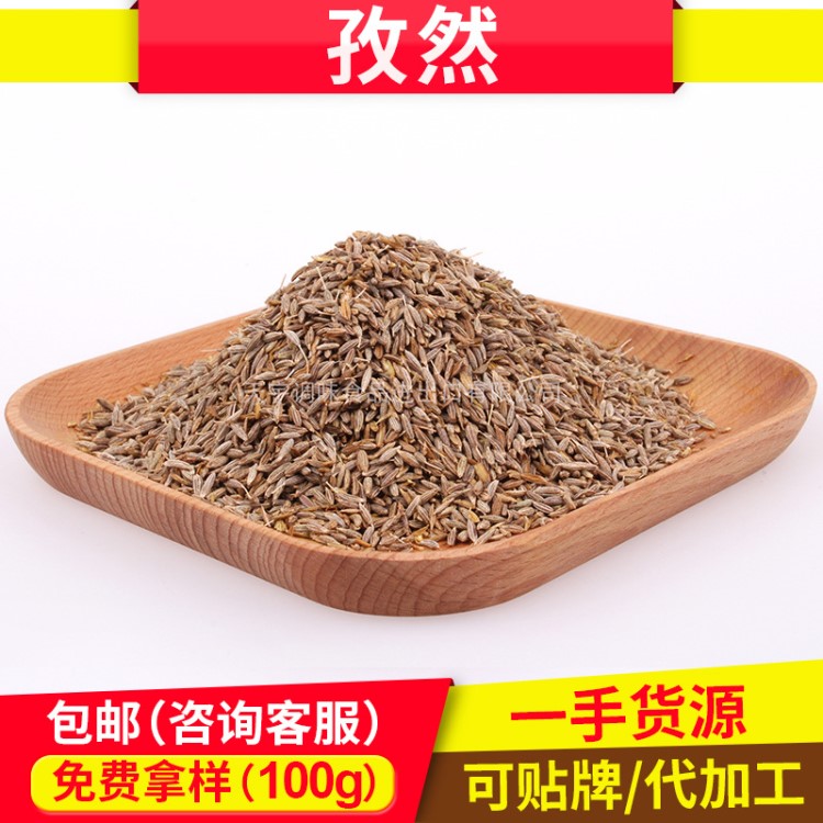 廠家批發(fā)燒烤調(diào)料孜然粒 供應新疆大顆粒孜然粒 孜然原料散裝