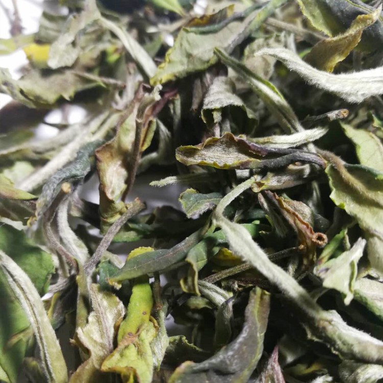 白鶯山大樹白茶500克云南茶葉袋裝白茶散裝茶 新品茶葉批發(fā)現(xiàn)貨