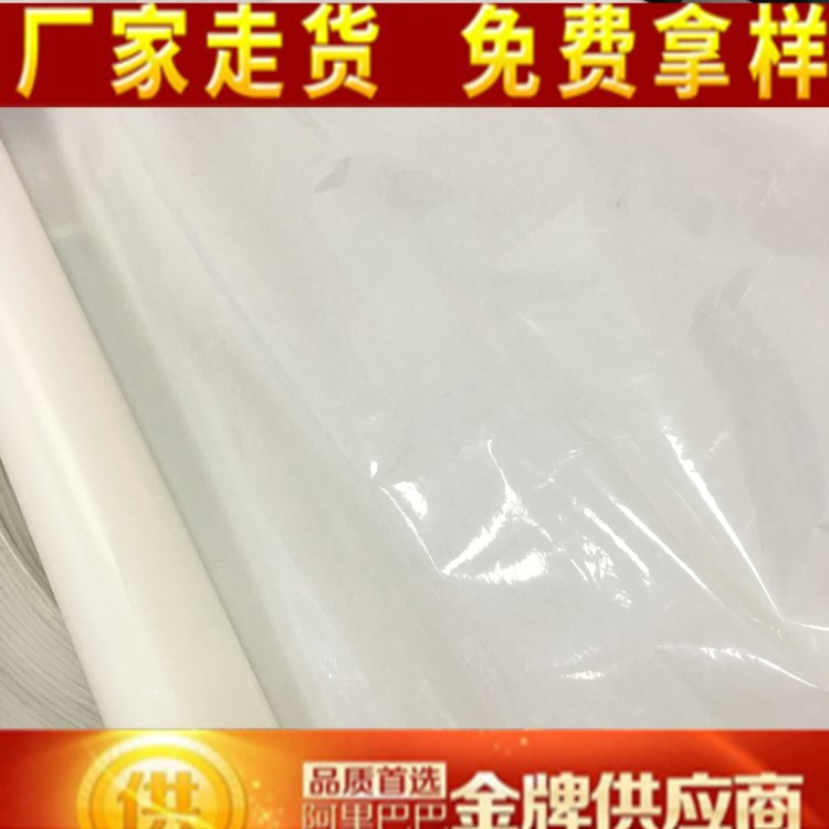 厂家直销  TPU热熔胶膜 高低温热熔胶膜 tpu服装热贴膜