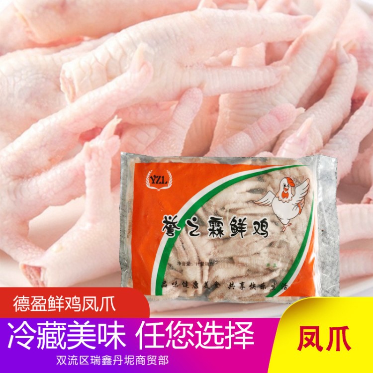 德盈鮮雞鳳爪 冷凍雞爪 燒烤雞爪鹵菜燒烤食材生雞腳批發(fā)