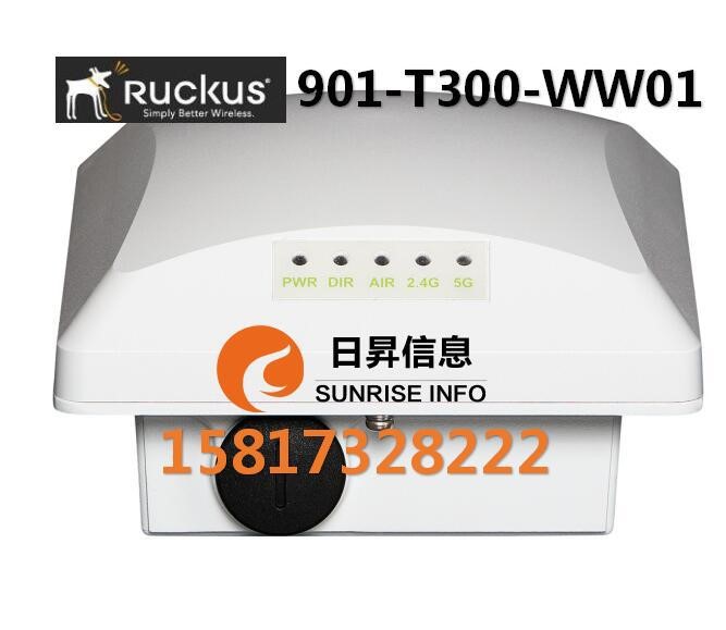 Ruckus美國優(yōu)科901-T300-WW01 美國優(yōu)科zoneflexT300室外無線AP