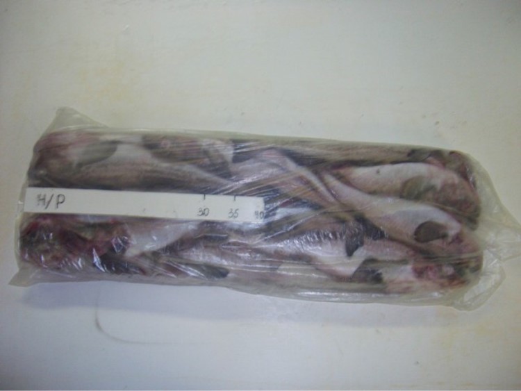 俄羅斯狹鱈魚，明太魚