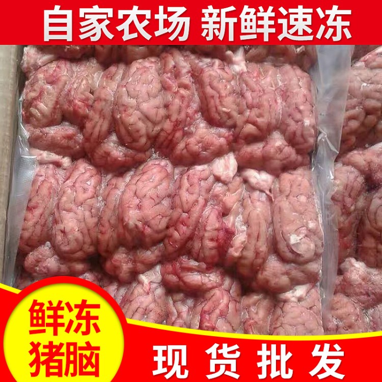 冷凍豬腦子 冷凍豬腦花加工 火鍋食材豬腦 豬腦食品批發(fā)