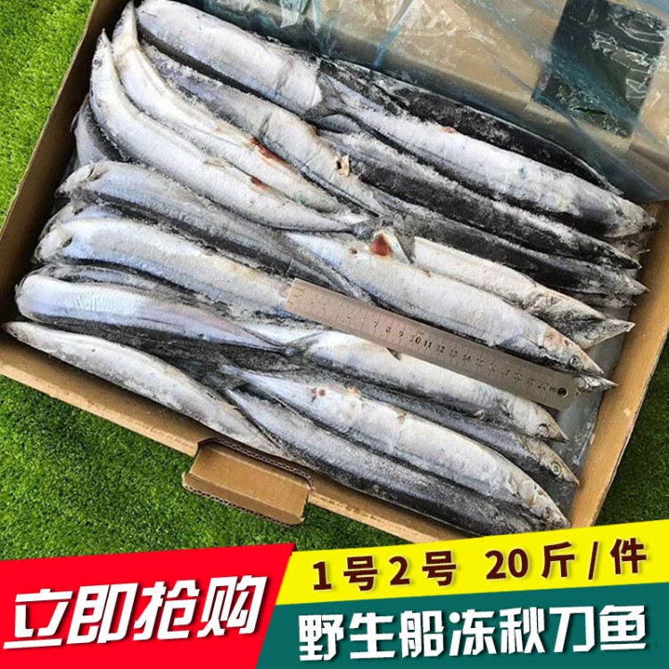 深海秋刀魚 冷凍秋刀魚 日式秋刀魚燒烤秋刀魚 冷凍海鮮食材20斤