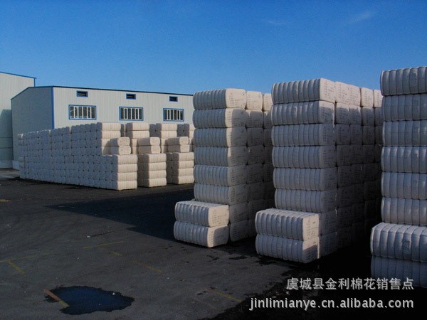 廠家長期出售硬四級皮棉 金利棉業(yè) 皮棉棉花