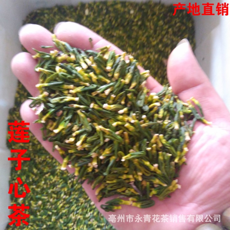 批發(fā)供應(yīng)新貨 蓮子心 蓮子芯 散裝花草茶 蓮心 永青花茶