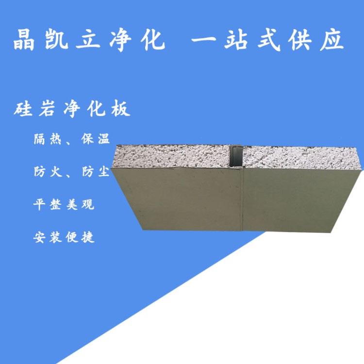 硅巖防火凈化彩鋼板 醫(yī)用手術室潔凈車間專用硅巖凈化彩鋼板廠家