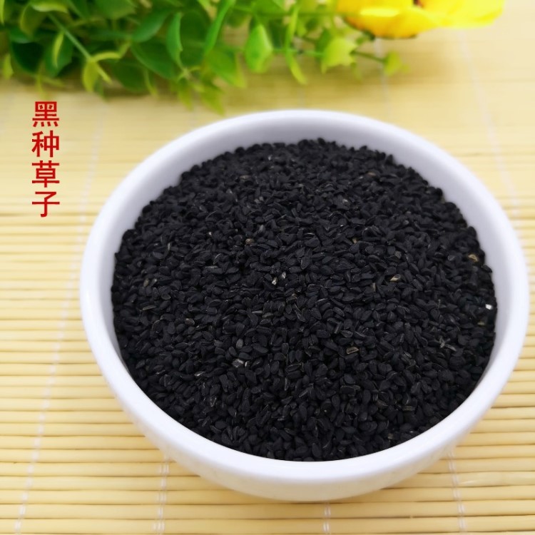 黑種草子批發供應冷背中藥材黑種草籽無雜質包退換量大從優代磨粉