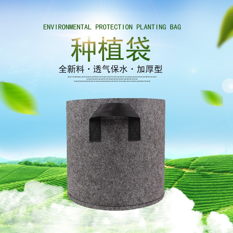 亞馬遜美植袋無紡布種植袋加厚植樹袋grow bag育苗袋園林種植花盆