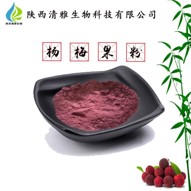楊梅果粉99% 楊梅果汁粉 水溶性 噴霧干燥 楊梅粉 現貨  包郵
