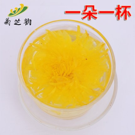 菊芝韻廬山金菊御品 金絲皇菊大菊花茶貢菊黃菊一朵一杯