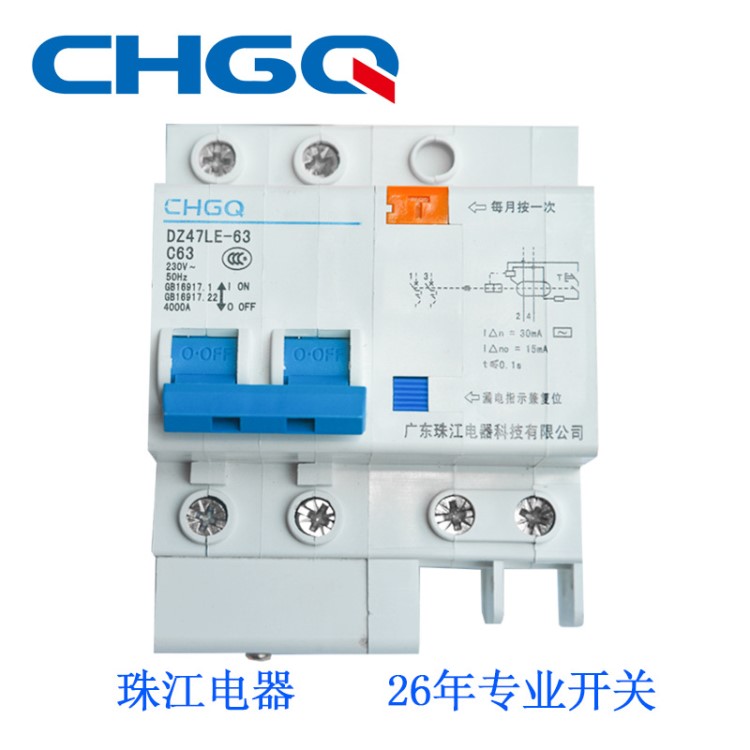 批發(fā)廣東珠江 DZ47LE-63/2P塑殼家用小型漏電保護斷路器 2極開關(guān)