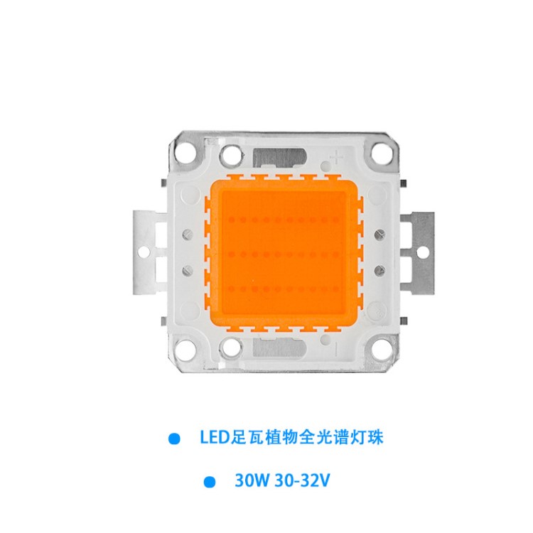 廠家批發(fā)直銷LED全光譜燈珠高壓30W220V植物生長燈珠跨境爆款