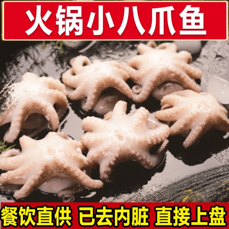 供应海鲜批发 软体冷冻八爪鱼 活冻小章鱼 章鱼 火锅食材酒店烧烤