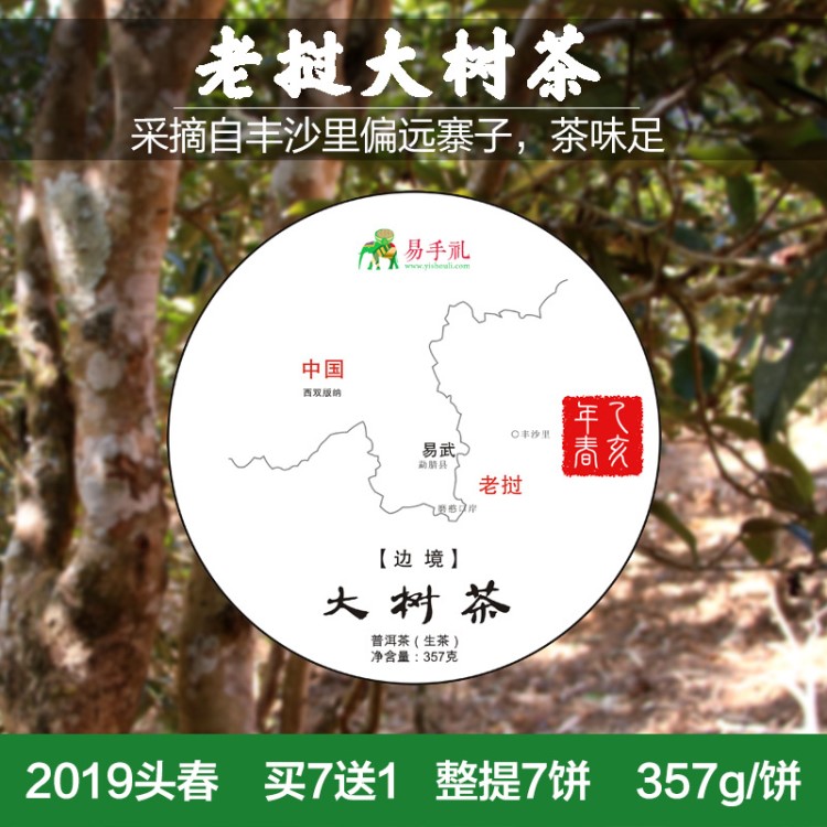 丰沙里2019头春大树茶普洱茶饼生茶老挝云南易武边境茶农茶叶357g