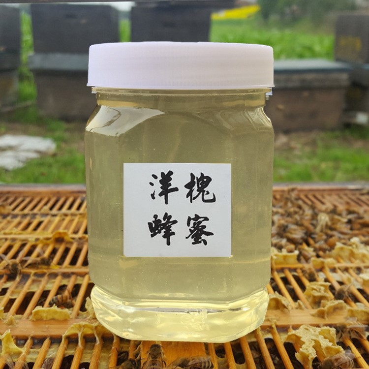 農(nóng)家自產(chǎn)天然洋槐花蜂蜜500g 野生槐花蜜 自然成熟蜂蜜