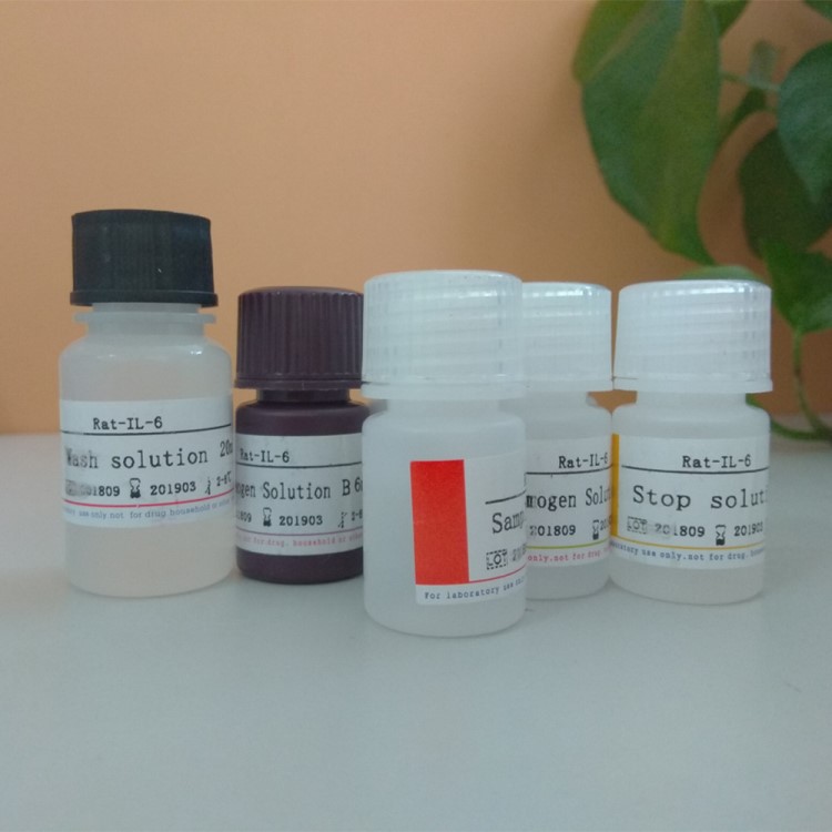 豬血管生成素2(ANG-2)ELISA試劑盒