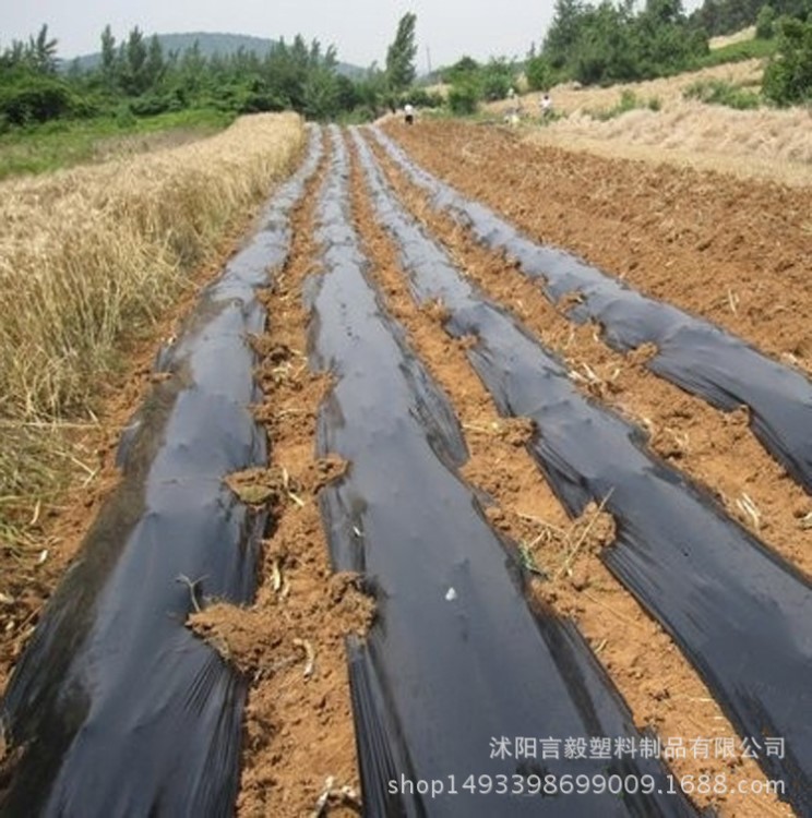 廠家批發(fā)農(nóng)用塑料黑色薄膜白色地膜除草專用可降解PE黑色地膜