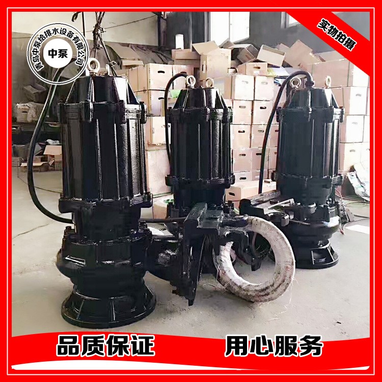 65WQ30-50 潛水排污泵 11KW污水泵（青島污水泵）