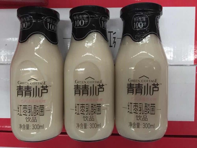 多維佳飲料 青青小蘆紅棗乳酸菌飲品 300ml*15瓶 酒店飲料 