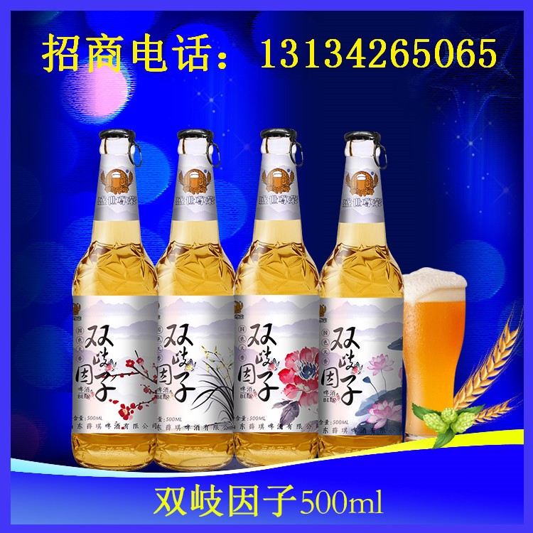 500ml大瓶特色養(yǎng)生啤酒招代理/拉環(huán)蓋啤酒批發(fā)/貴溪/瑞金