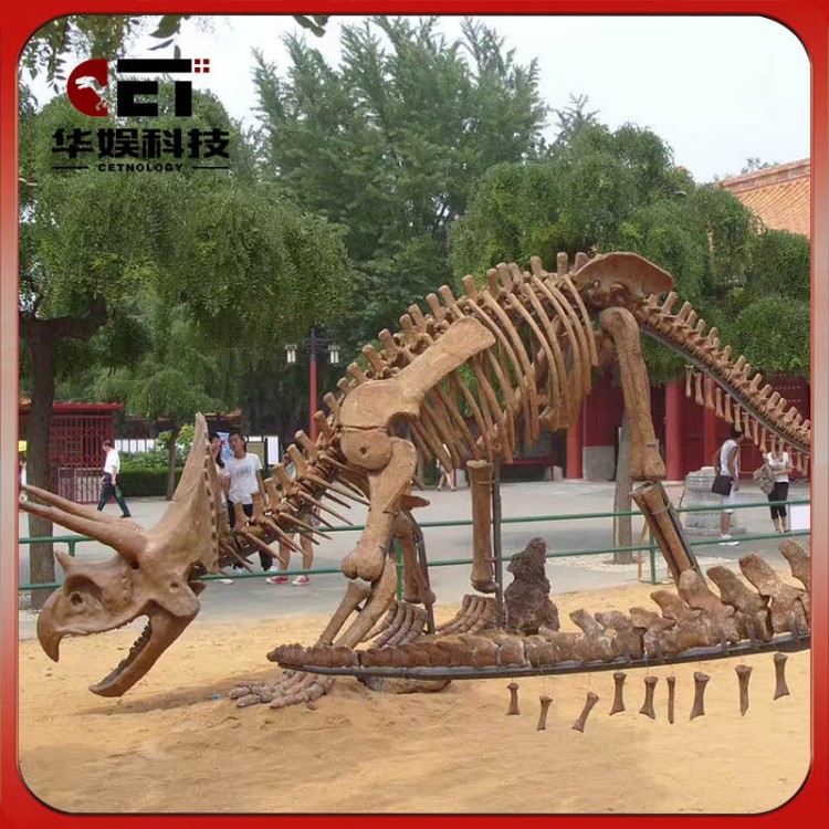 仿真恐龍展 恐龍化石展覽  恐龍化石復制品 四川自貢恐龍化石廠家