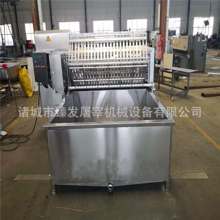 R 全自動羊脫毛設備山羊屠宰脫毛設備不銹鋼小型家用脫毛機
