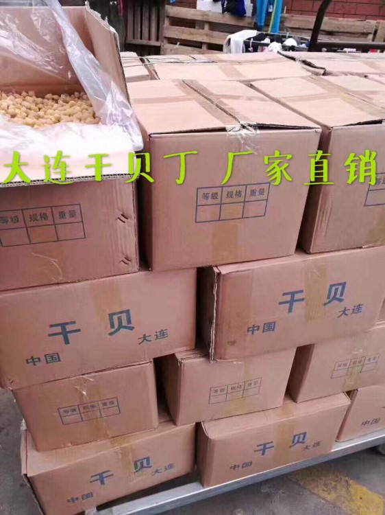 大连特产干贝丁海鲜干货熬粥煮汤海味 瑶柱小元贝 厂家直销 500g