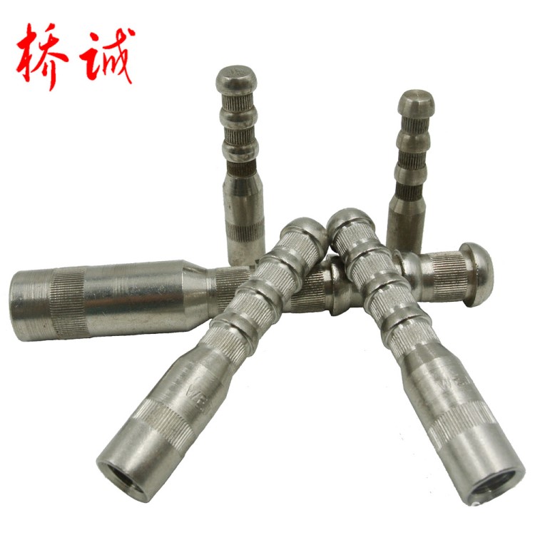 廠家直銷(xiāo)精加工高強(qiáng)度不銹鋼內(nèi)牙化學(xué)螺桿膨脹螺栓螺絲