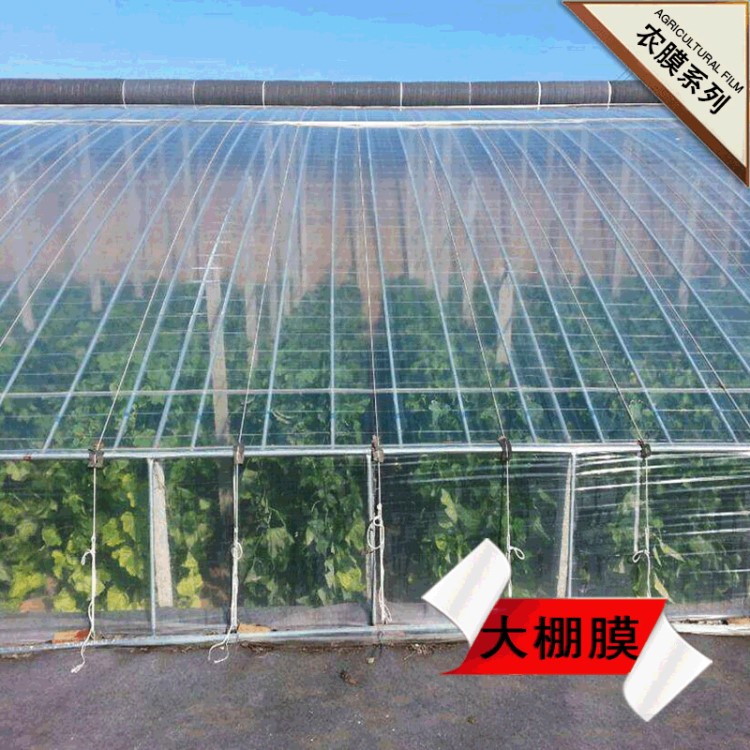 佛山廠家直銷蔬菜大棚塑料薄膜 長壽流滴膜 可定制農(nóng)用大棚膜