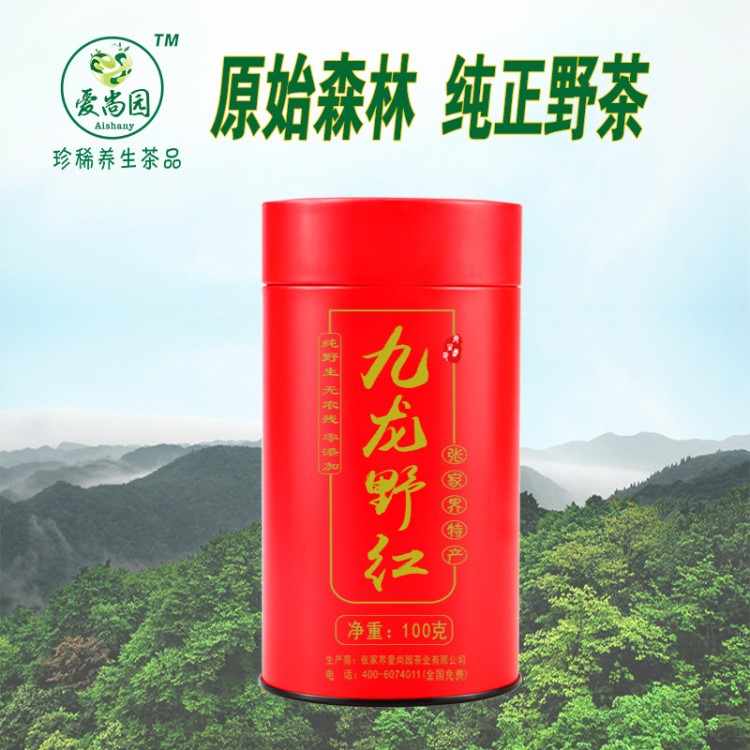 張家界九龍山野生紅茶 森林野生茶葉蜜香型茶葉 湖南特產產地貨源