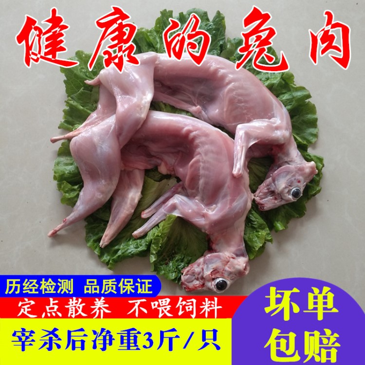 兔肉新鮮兔肉現(xiàn)兔子肉活兔農家散養(yǎng)鮮兔肉冷凍兔腿肉真空3斤/只