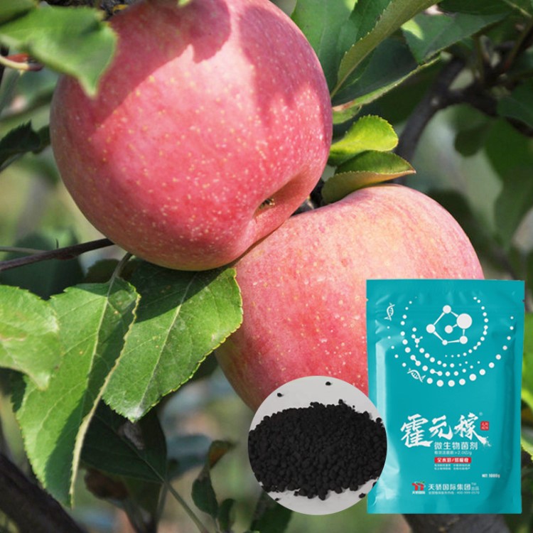 霍元稼蘋果專用肥生物菌水溶肥沖施肥調(diào)節(jié)土壤微生物菌有機(jī)肥批發(fā)