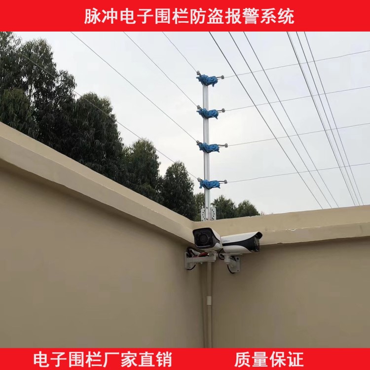 脈沖電子圍欄全套系統(tǒng) 圍墻電網(wǎng)防盜報警系統(tǒng) 脈沖圍欄主機 拓天