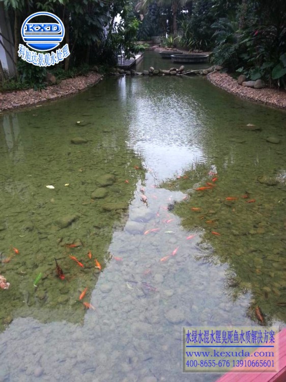 魚池水處理河南鶴壁庭院養(yǎng)魚池水處理設備365天水清見底