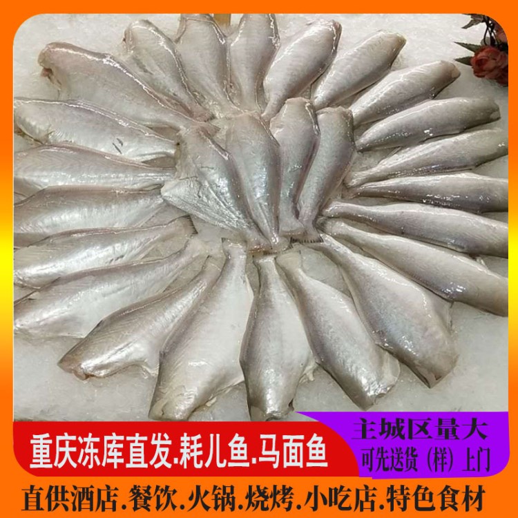 重慶耗兒魚單凍少冰12斤酒店食材火鍋燒烤中餐干鍋馬面魚