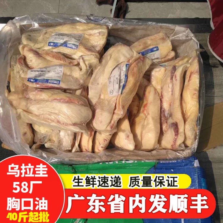 烏拉圭58廠冷凍牛胸口油大塊胸口油炭燒火鍋串燒牛肉單獨包裝
