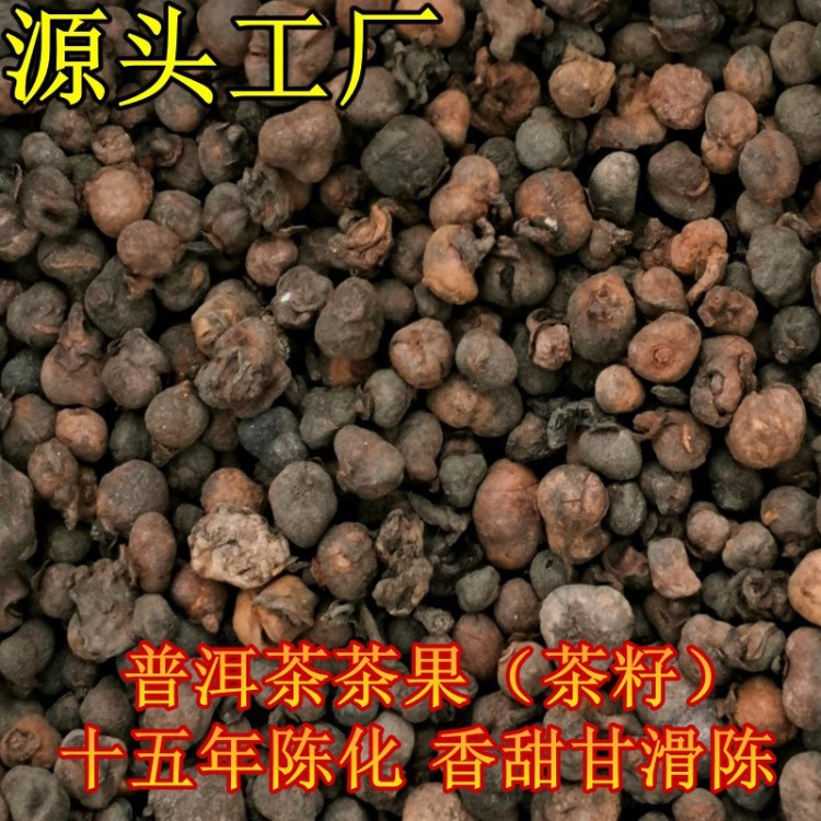 廠家直銷(xiāo) 云南普洱茶 茶果 普洱茶茶籽 陳年老茶 勐海茶區(qū)