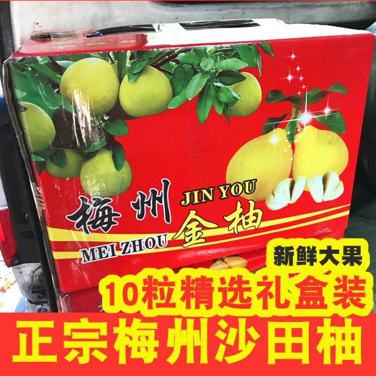 梅县沙田柚梅州金柚 送礼甜新鲜水果10粒礼盒装十个大果包邮