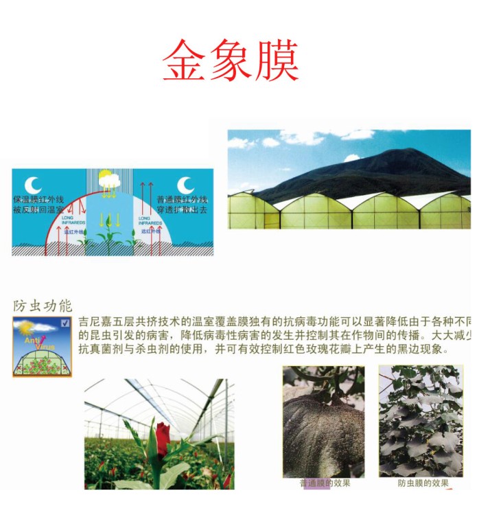 金象膜10絲--五層共擠