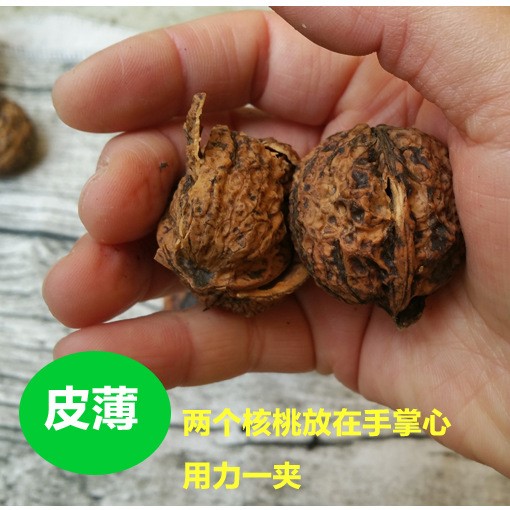 貴州老樹赫章核桃小孩老人愛吃清香不苦澀皮薄肉厚核桃500g小核桃